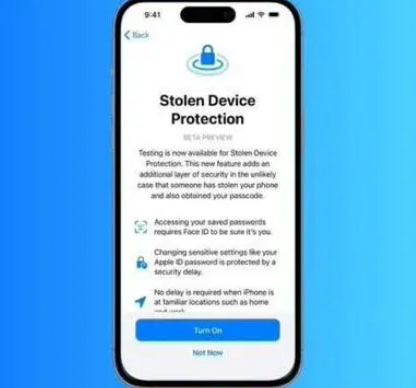 当阳苹果授权维修店分享被盗设备保护功能开启方法 