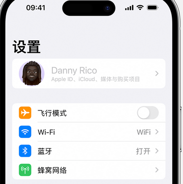 当阳appleID维修服务iPhone设置中Apple ID显示为灰色无法使用 