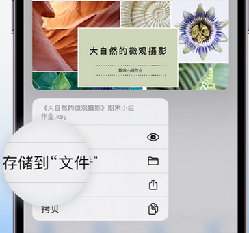 当阳apple维修中心分享iPhone文件应用中存储和找到下载文件