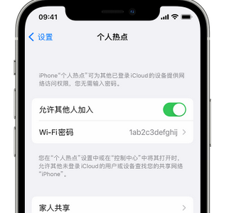 当阳apple服务站点分享iPhone上个人热点丢失了怎么办