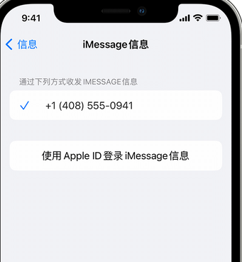 当阳apple维修iPhone上无法正常发送iMessage信息 