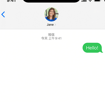 当阳apple维修iPhone上无法正常发送iMessage信息