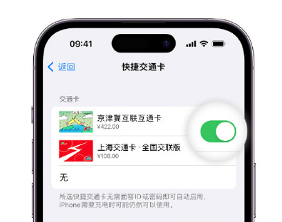 当阳apple维修点分享iPhone上更换Apple Pay快捷交通卡手绘卡面 