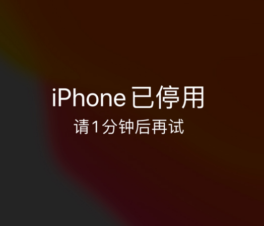 当阳苹果手机维修分享:iPhone 显示“不可用”或“已停用”怎么办？还能保留数据吗？ 