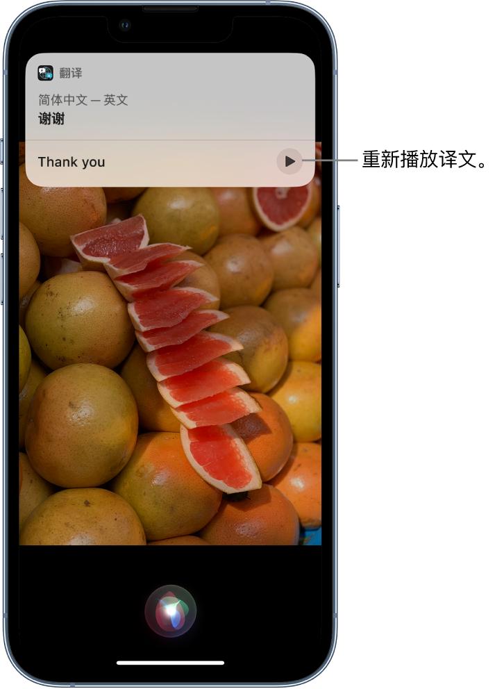 当阳苹果14维修分享 iPhone 14 机型中使用 Siri：了解 Siri 能帮你做什么 