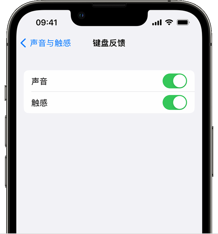 当阳苹果14维修分享iPhone 14 系列机型如何开启键盘声音或触感反馈 