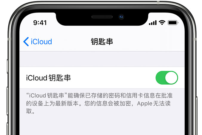 当阳苹果手机维修分享在 iPhone 上开启 iCloud 钥匙串之后会储存哪些信息 