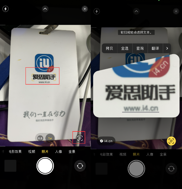 当阳苹果手机维修分享升级iOS 16后如何通过相机翻译文本 