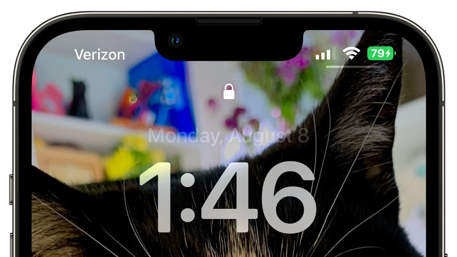 当阳苹果手机维修分享iOS 16 beta 5 支持状态栏显示电池百分比，如何开启？支持哪些机型 