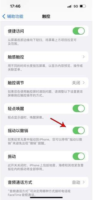 当阳苹果手机维修分享iPhone手机如何设置摇一摇删除文字 