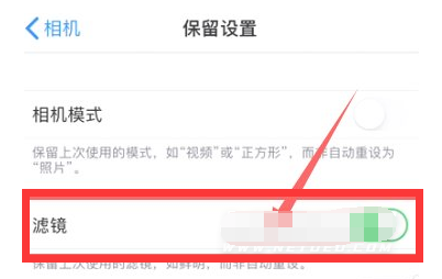 当阳苹果13维修分享iPhone13拍照有绿点是怎么回事 