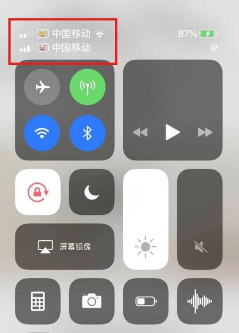 当阳苹果手机维修分享为 iPhone 12 双卡设置标签 